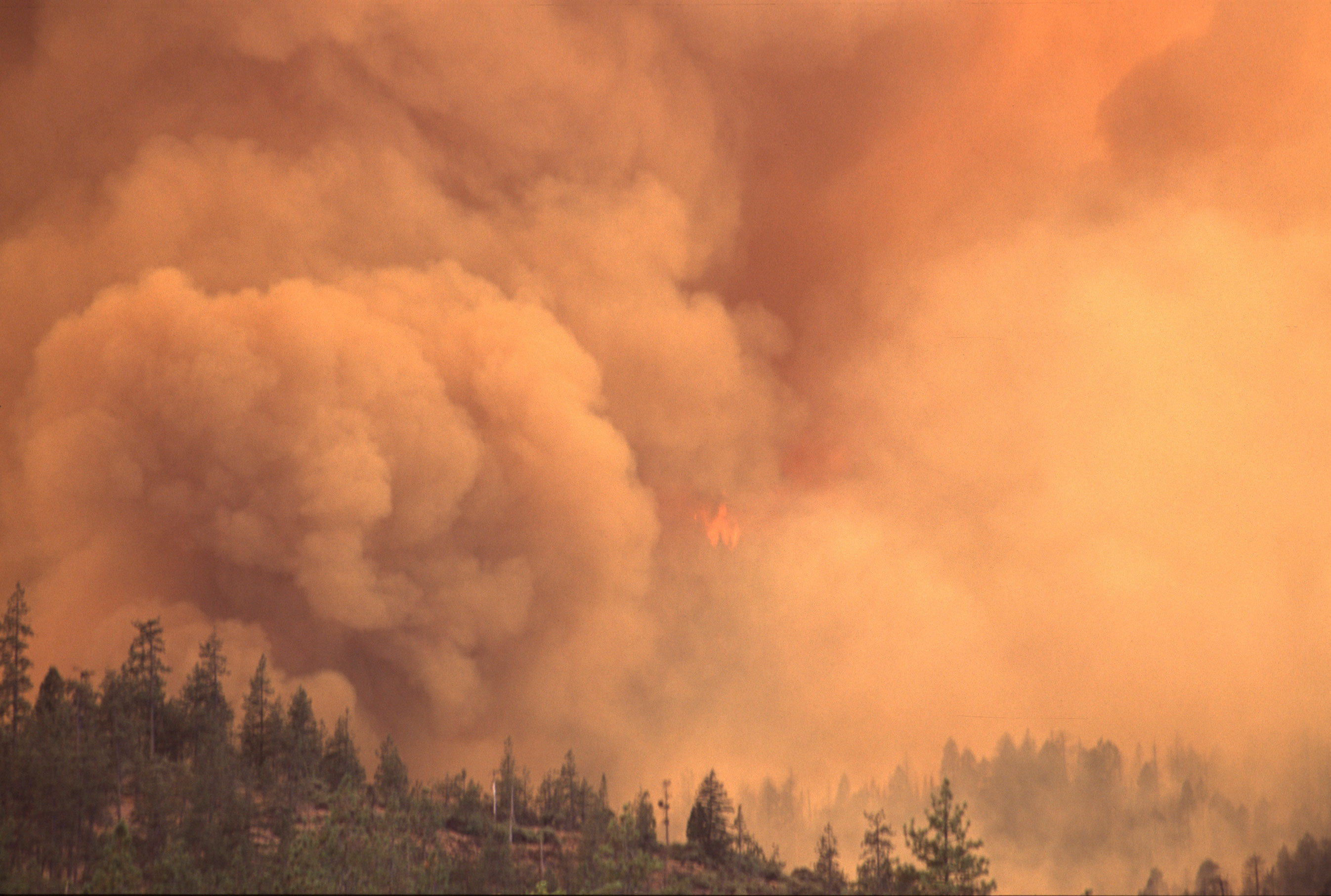 Wildfire in the Pacific Northwest • Foto: Bureau of Land Management Oregon and Washington (CC-BY 2.0)